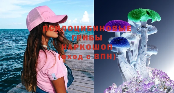 Альфа ПВП Армянск