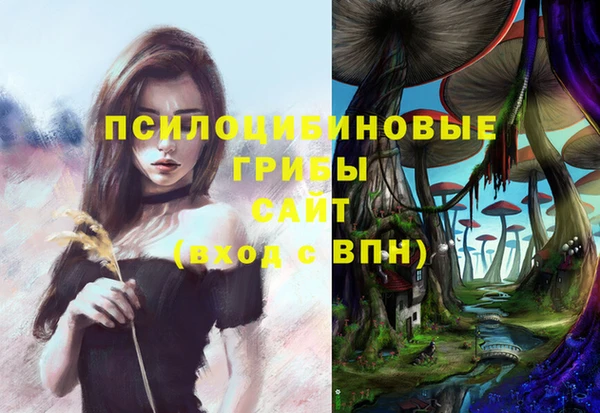 Альфа ПВП Армянск