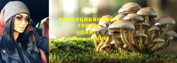 марки nbome Аркадак