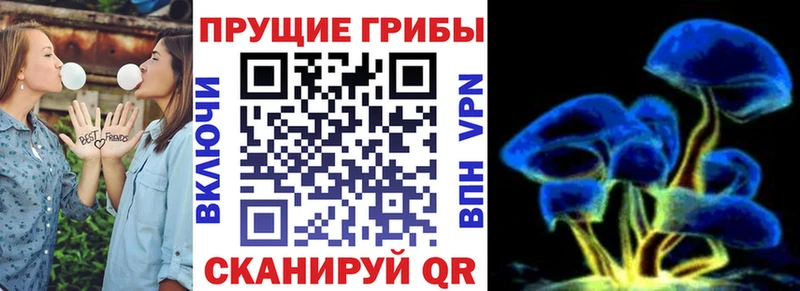 Галлюциногенные грибы мицелий  Кемь 
